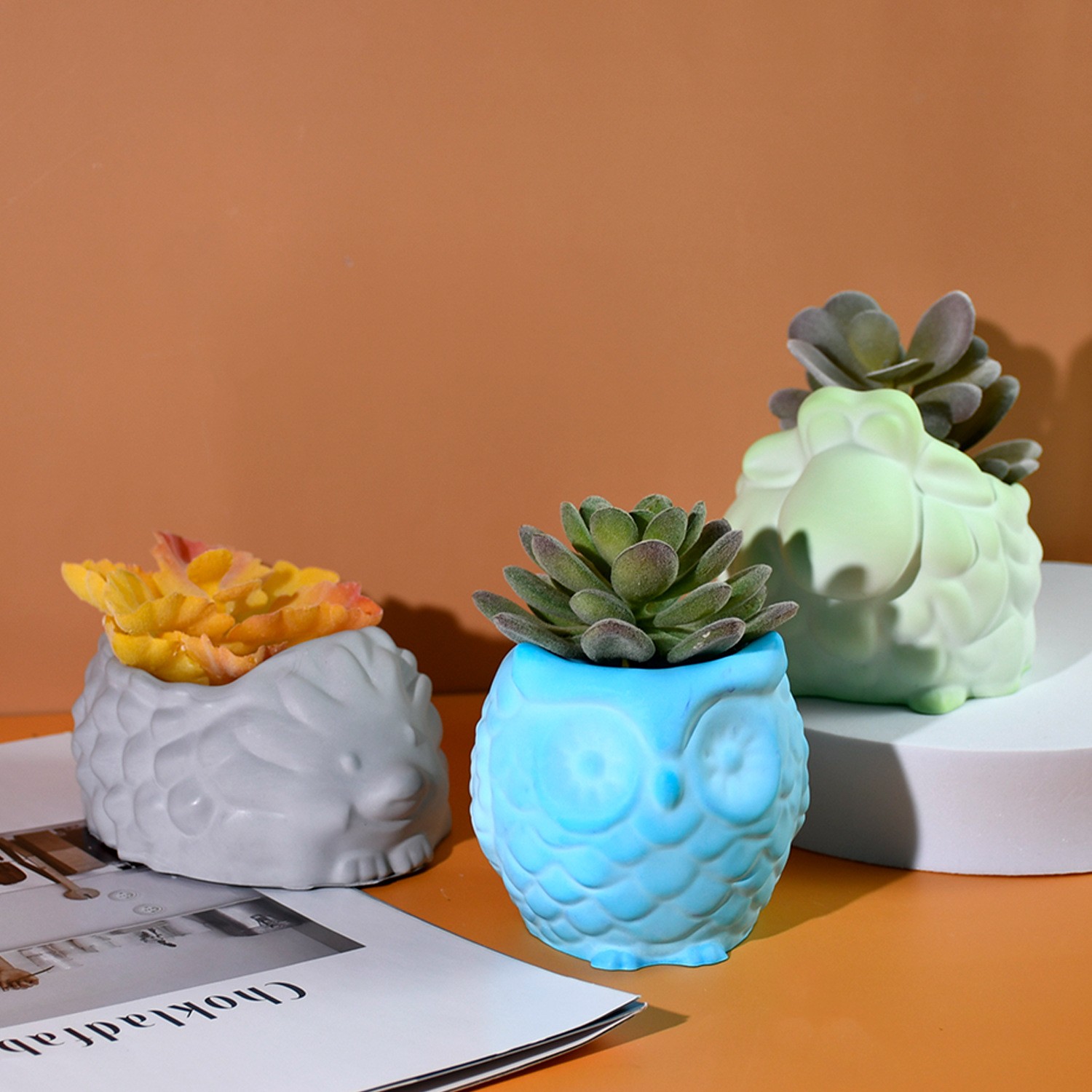 3D Animal Flower Pot Silicone  - огляд і ціна Succulent Set
