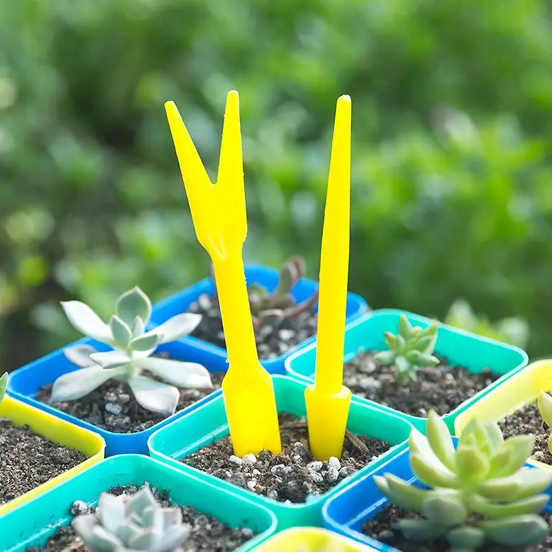 1/10Pcs Sowing Succulents Tran - огляд і ціна Succulent Set