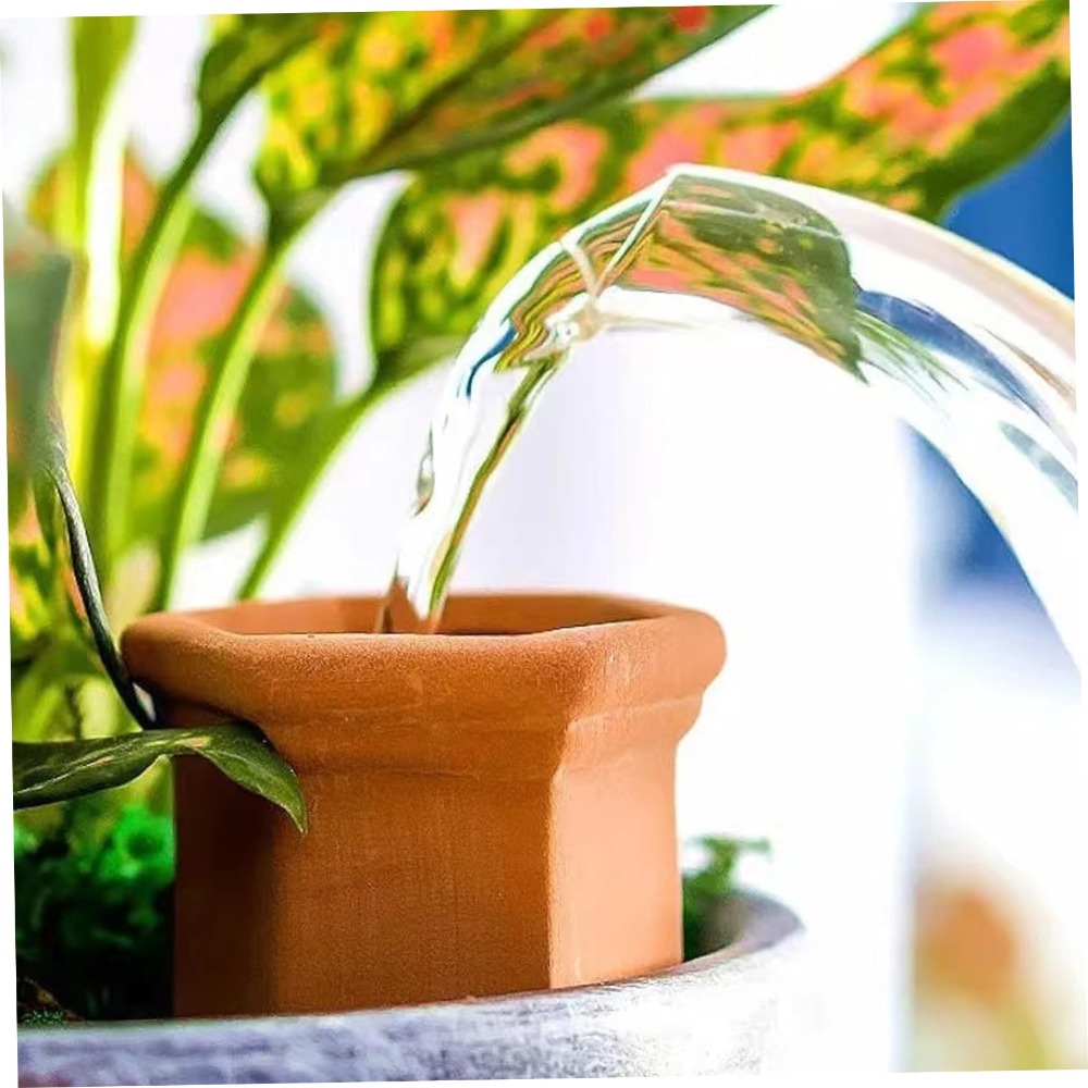 Terracotta Automatic Watering  - огляд і ціна Pothos