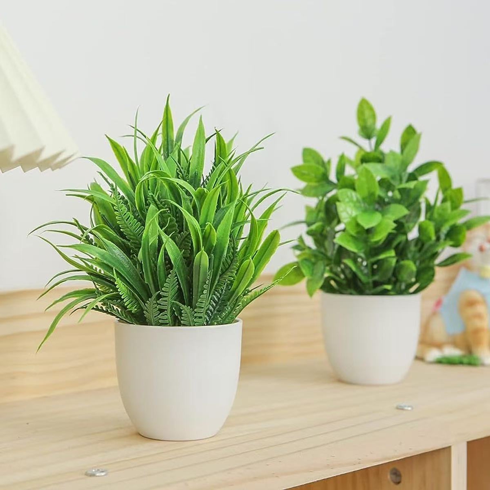 4pcs/set Mini Artificial Plant - огляд і ціна Snake Plant