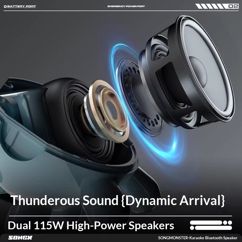SONGX Audio Dual Microphone Du - огляд і ціна Monstera