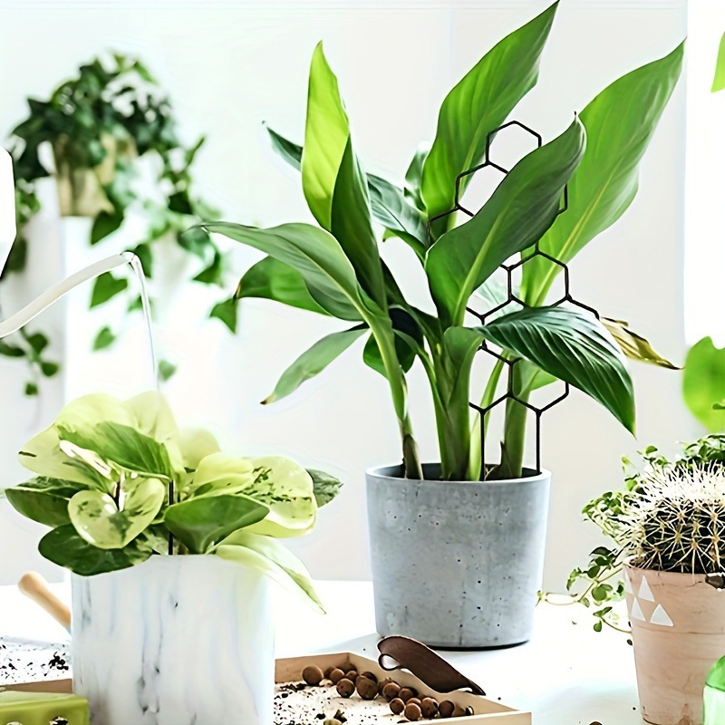1PC Honeycomb Design Plant Tre - огляд і ціна Pothos