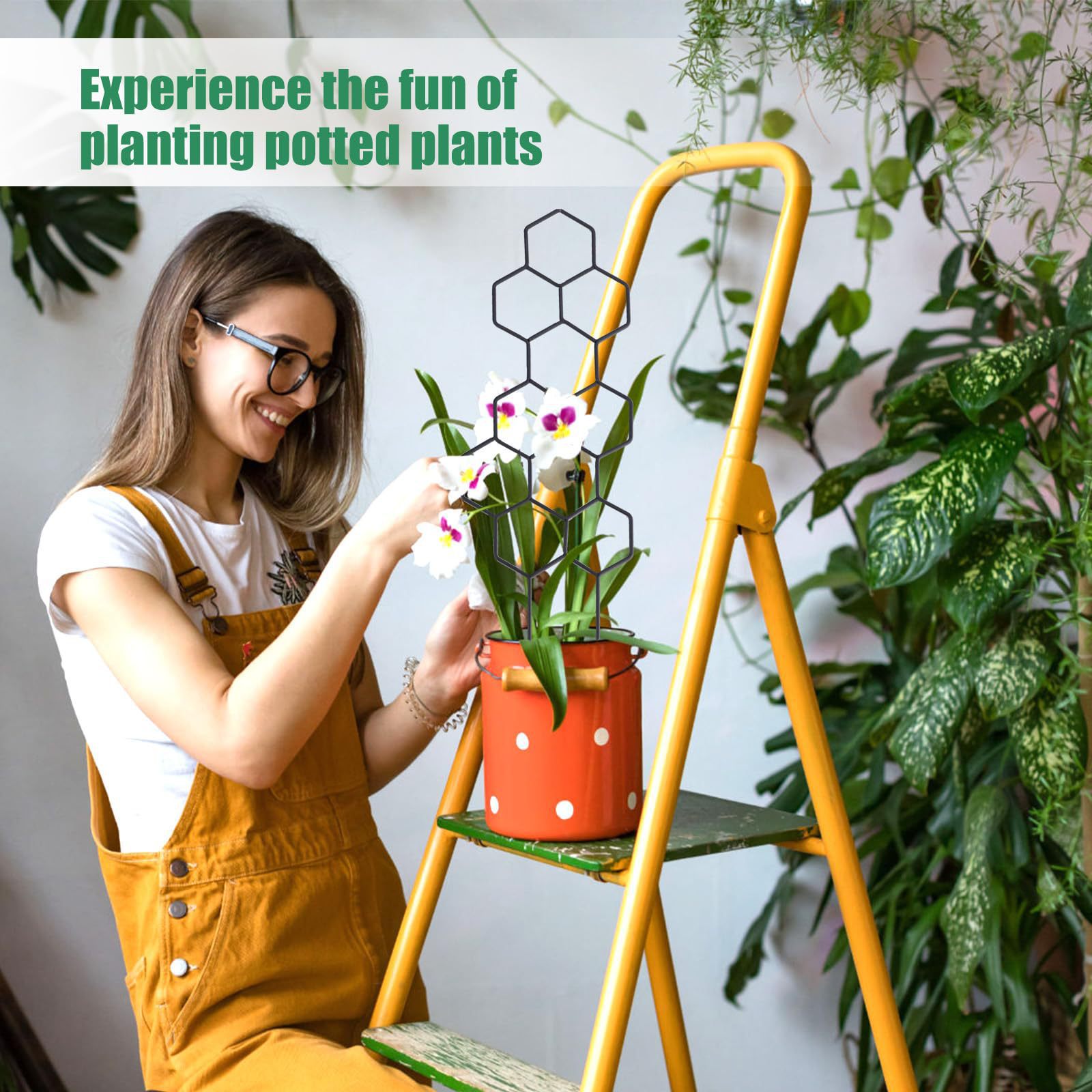1PC Honeycomb Design Plant Tre - огляд і ціна Pothos